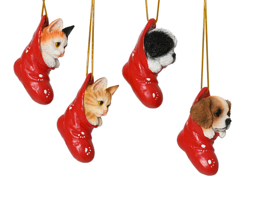 Orn Kitten/Pup in Red Stocking