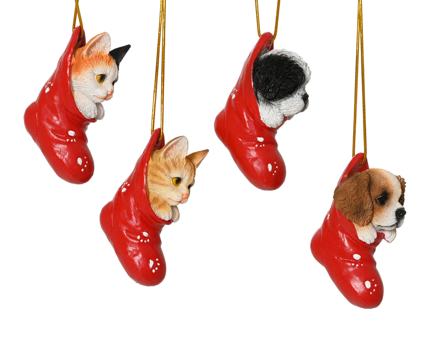 Orn Kitten/Pup in Red Stocking