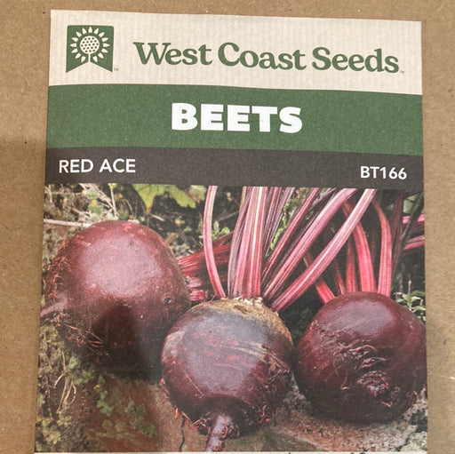 Seed WC Beet Red Ace