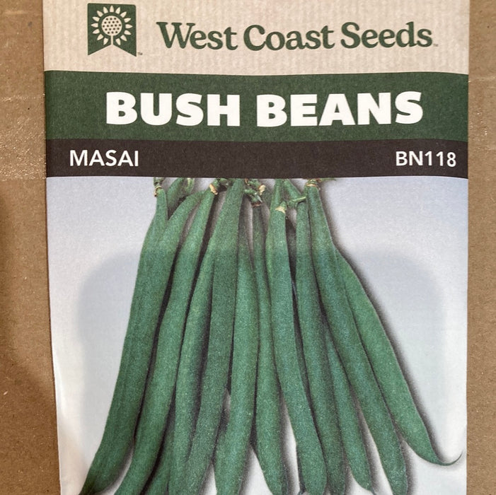 Seed WC Bean Bush Masai