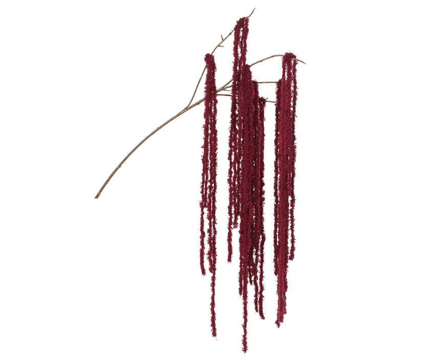 Spray Red Love Lies Bleeding
