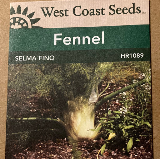 Seed WC Fennel Selma Fino