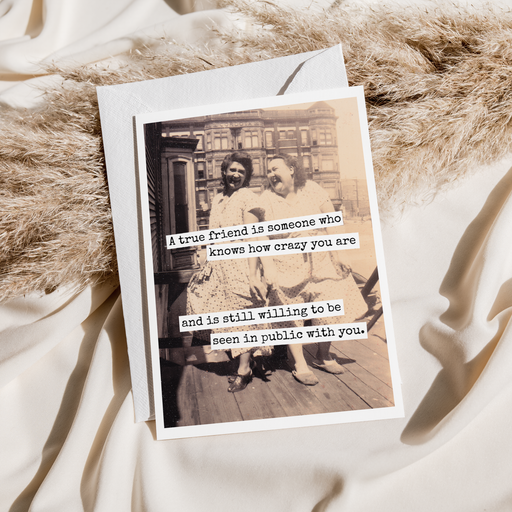 Funny Card. Friendship. A True Friend Is Someone Who Knows..