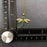 Dragonfly Charm Gold-plated Necklace