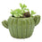 Cactus Flower Pot