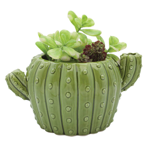 Cactus Flower Pot