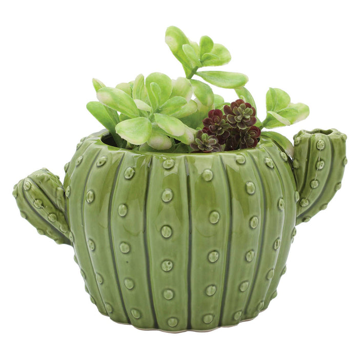 Cactus Flower Pot