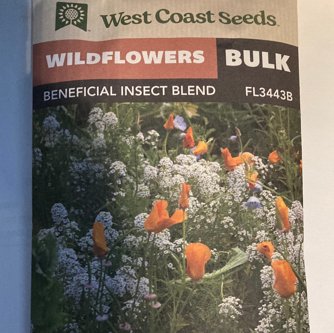 Seed WC Wildflowers Beneficial Insect Blend Bulk — Dutch Growers Regina