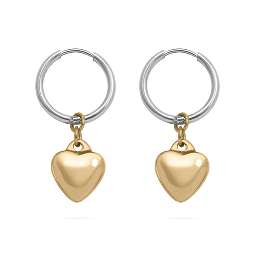 18K Gold Stainless Steel Mixed Metal Heart Charm Earrings