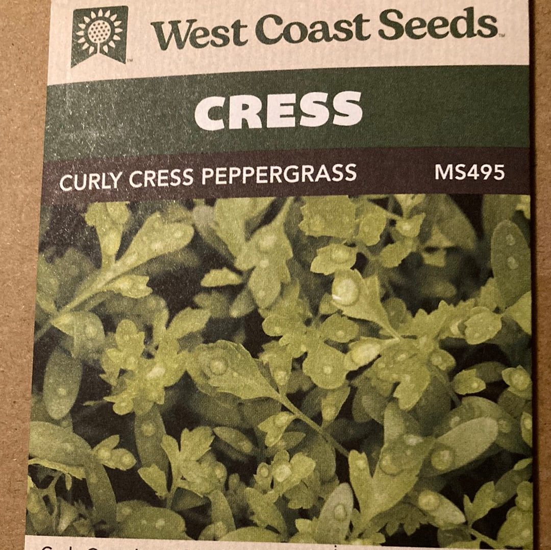 Curled Cress Seeds – Heirloom, Non-GMO – Fresh Herb Seeds For Planting