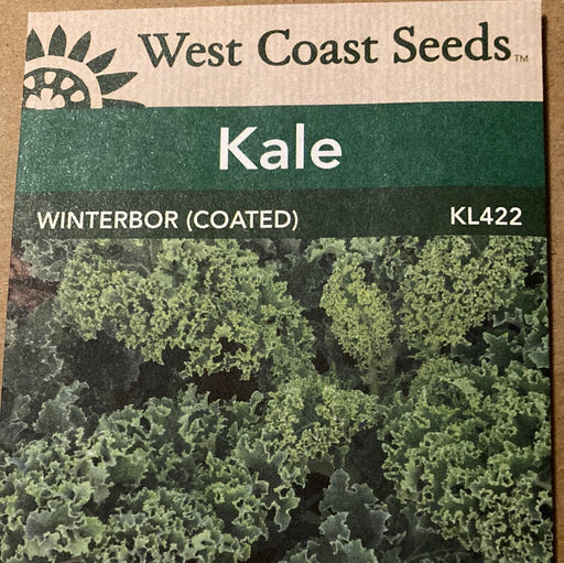 Seed WC Kale Winterbor Coated