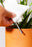 Moisture Meter White