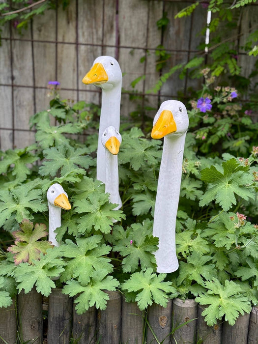 Geese