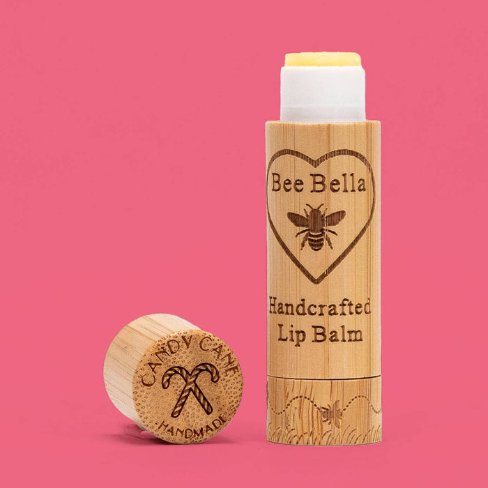 Lip Balm Holiday Variety | 12-Pack