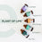 Pure Peppermint Essential Oil - Therapeutic Grade -  Sizes