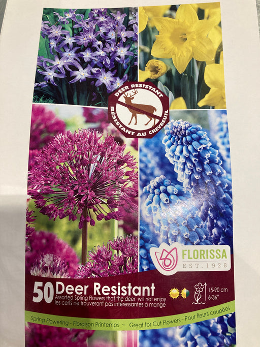 Deer Resistant Yellow & Blue