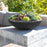 Succulent Bowl Oval 15" PW