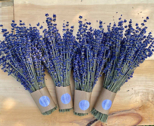 Dried English Lavender Bouquets - Deep Purple
