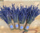Dried English Lavender Bouquets - Deep Purple