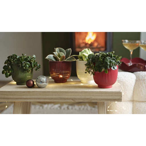 Pot 10x10 cm Red/Green/Cream/Burgundy