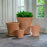 Alicia Planters - Terra Cotta