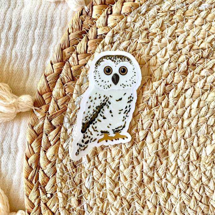 Clear Owl Sticker 3.25x2in