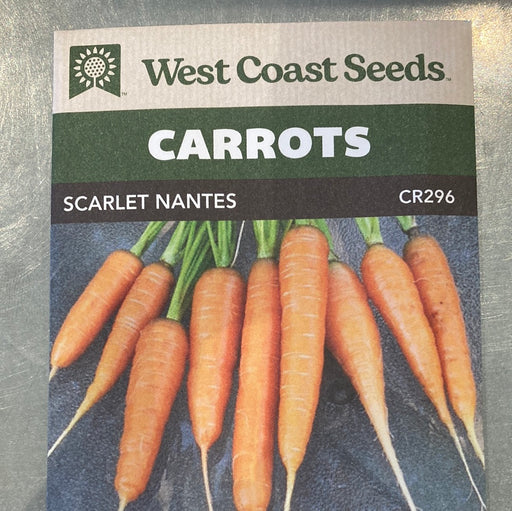 Seed WC Carrot Scarlet Nantes