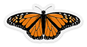 Clear Monarch Butterfly Sticker, 3x1.5 in.