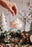 Jack Frost Java Cocktail Kit