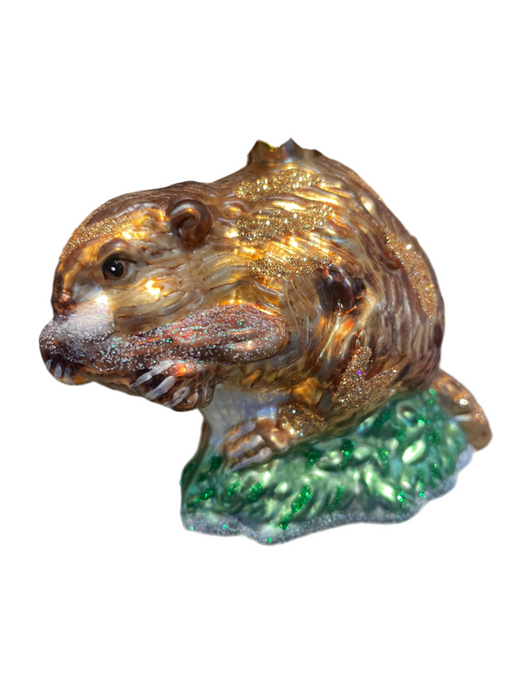 beaver glass orn