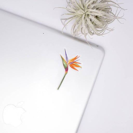 Bird of Paradise Clear Sticker