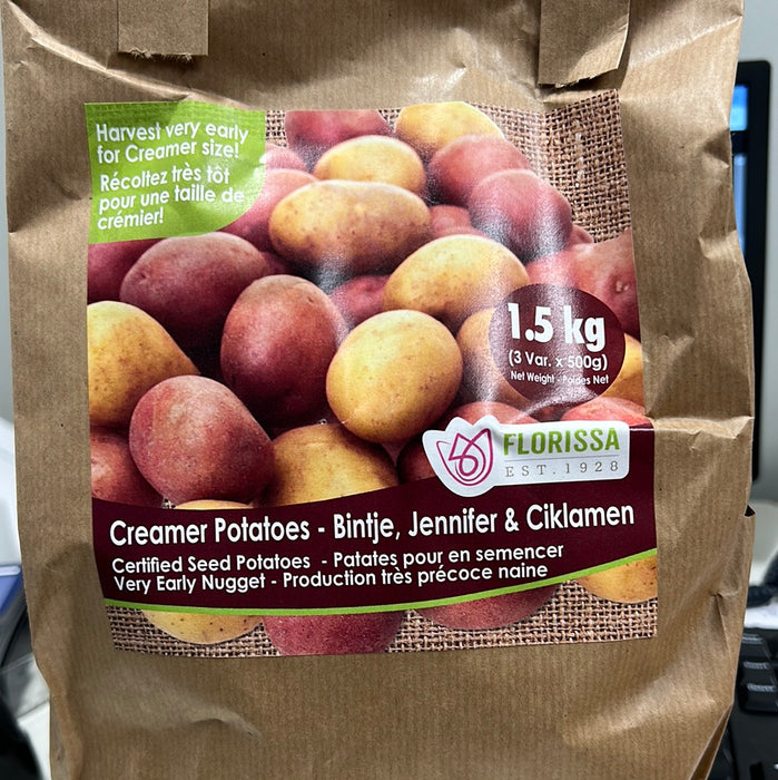 Potatoes Creamer C8 1.5 kg