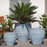 Vari Planter- Murano Celeste