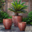 Vari Planter- Brunello