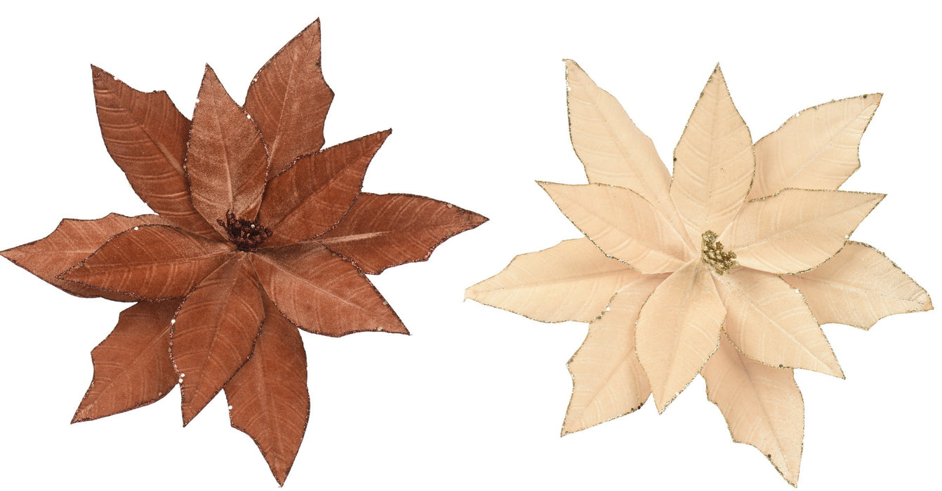 Poinsettia on Clip Amber/Cream Velvet