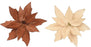 Poinsettia on Clip Amber/Cream Velvet