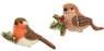 Brown Bird on Branch with Berries