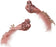 Bird Blush Pink with Gold Glitter