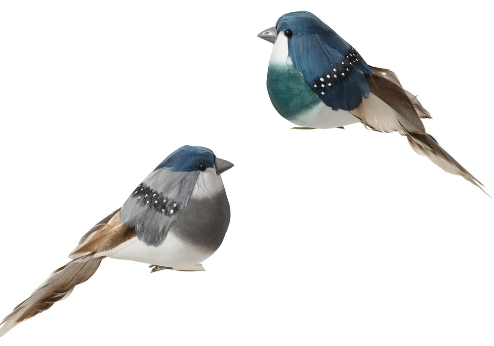 Blue Bird with Grey & Tan