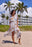 Cayman Wear 4 Ways Cover Up Dress