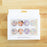 Glass Magnets, Box Set of 8 Floral Magnets PREORDER MID FEB