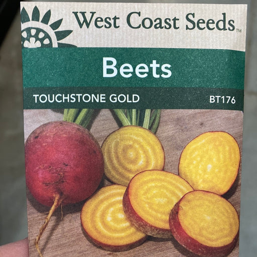 Seed WC Beets Touchstone Gold