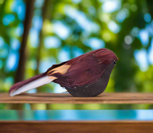 Bird Brown/Amber/White w/Clip