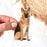 Clear German Shepherd Sticker, 3x1.5in