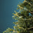 Lights Compact Twinkle 378 LED 19.7' Warm White