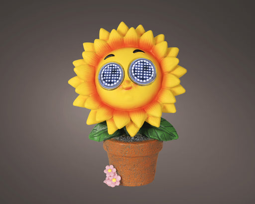 Solar Yellow Sunflower in Pot