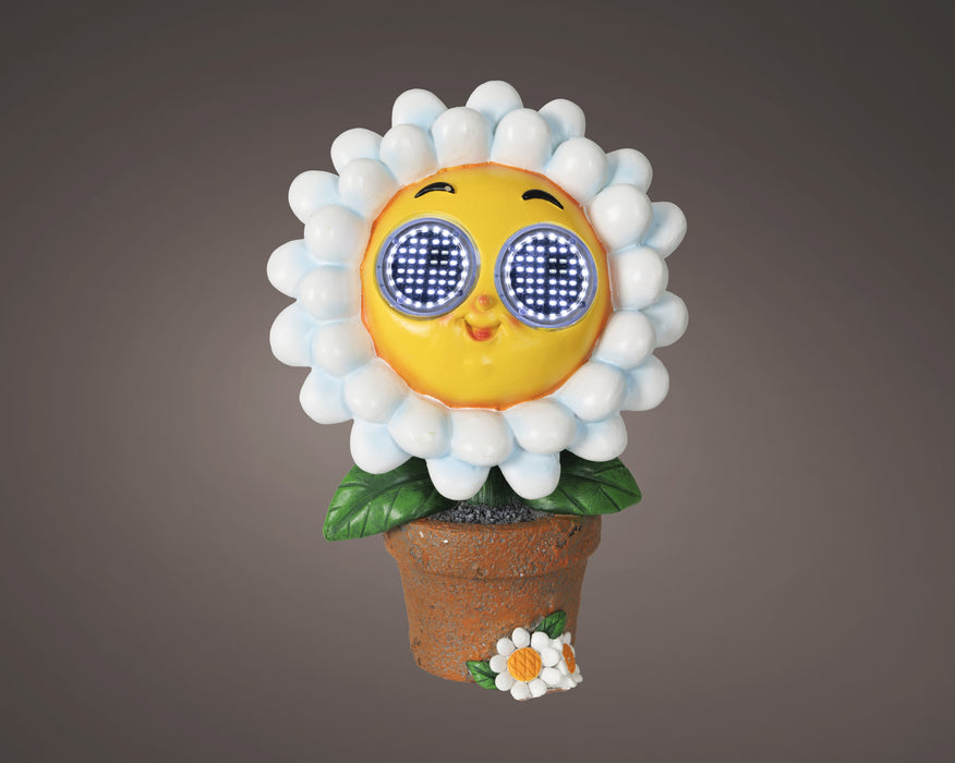 Solar White Sunflower in Pot