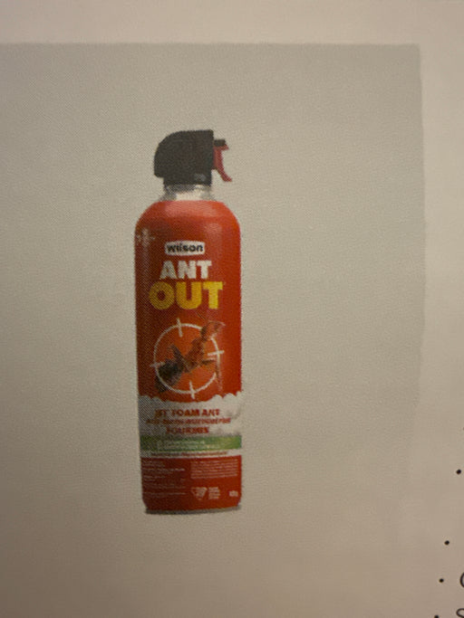 Ant Out Killer Foam 425 gm