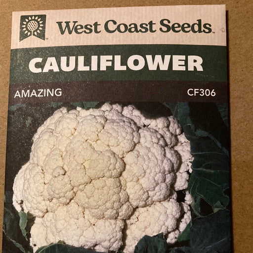 Seed WC Cauliflower Amazing