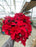 Poinsettia Live (Online